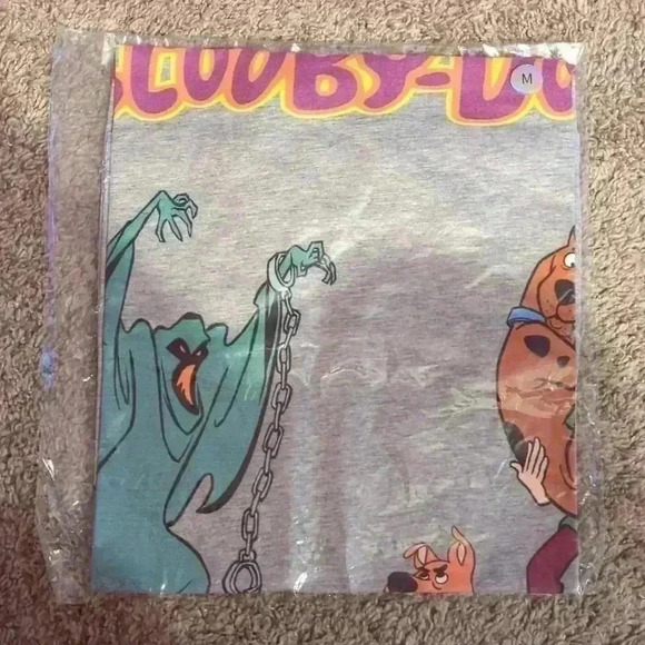 RTP Apparel Scooby Doo T-shirt, gray size medium - Picture 1 of 4